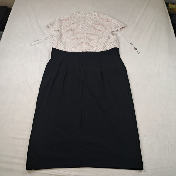 Tadashi Shoji Two Tone Lace Sheath Dress Size 16 - Picture 16 of 16